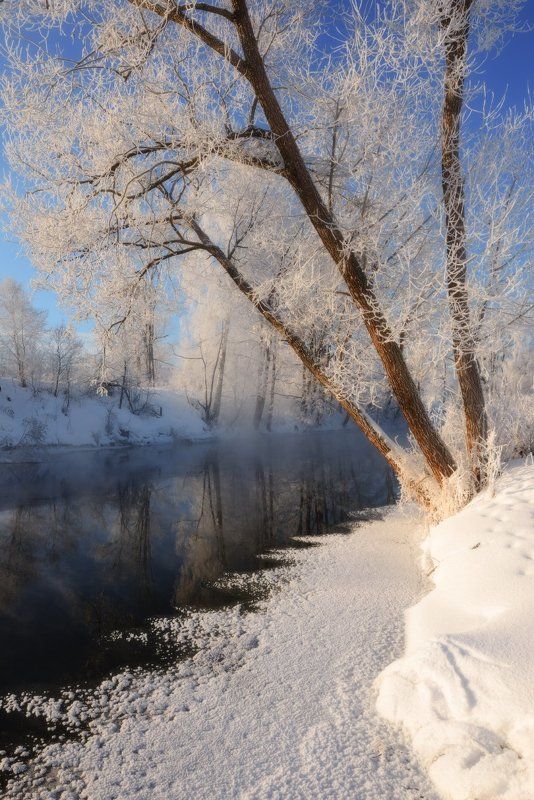 Февральские морозы фото превью