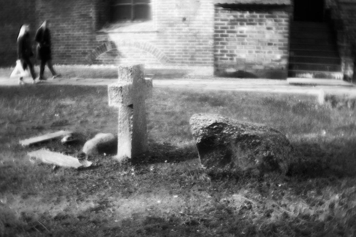 , Алексей Шамашов