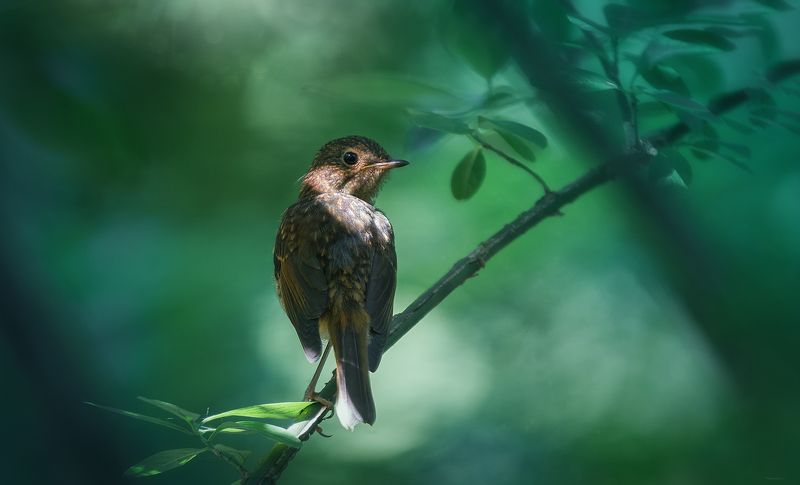 В ожидании мамы фото превью