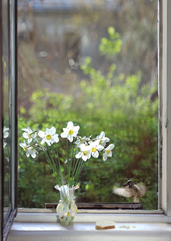 Апрель фото превью