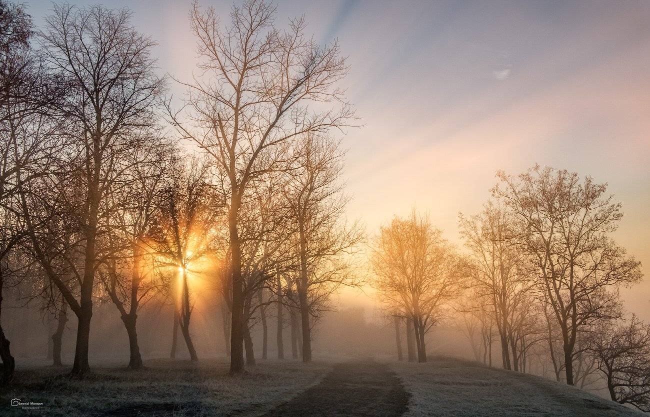 , Леонид Морозов