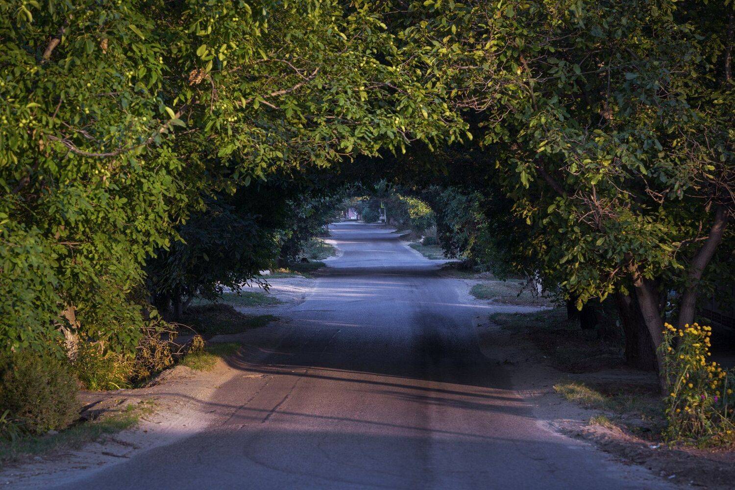 , Коркин Вадим