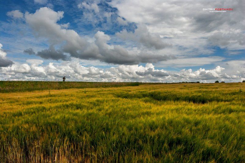 Лето, Облака, Пейзаж, Подмосковье, Поле, Природа, Рожь, Россия По дороге с облаками среди полей Подмосковья. фото превью