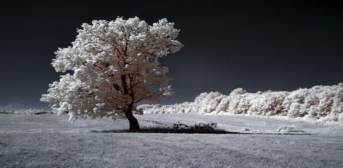 С полуденной тенью. Инфракрасная фотография.
