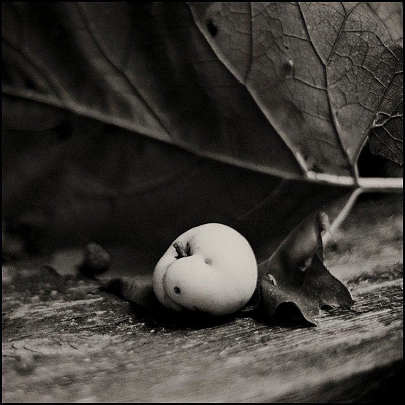 Закатилось... фото превью