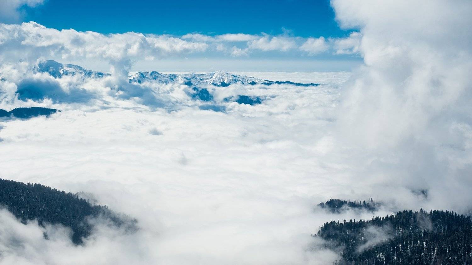 , Дмитрий Жуков