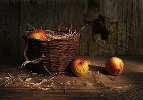 Про мышку или ( С 1-м апреля!)