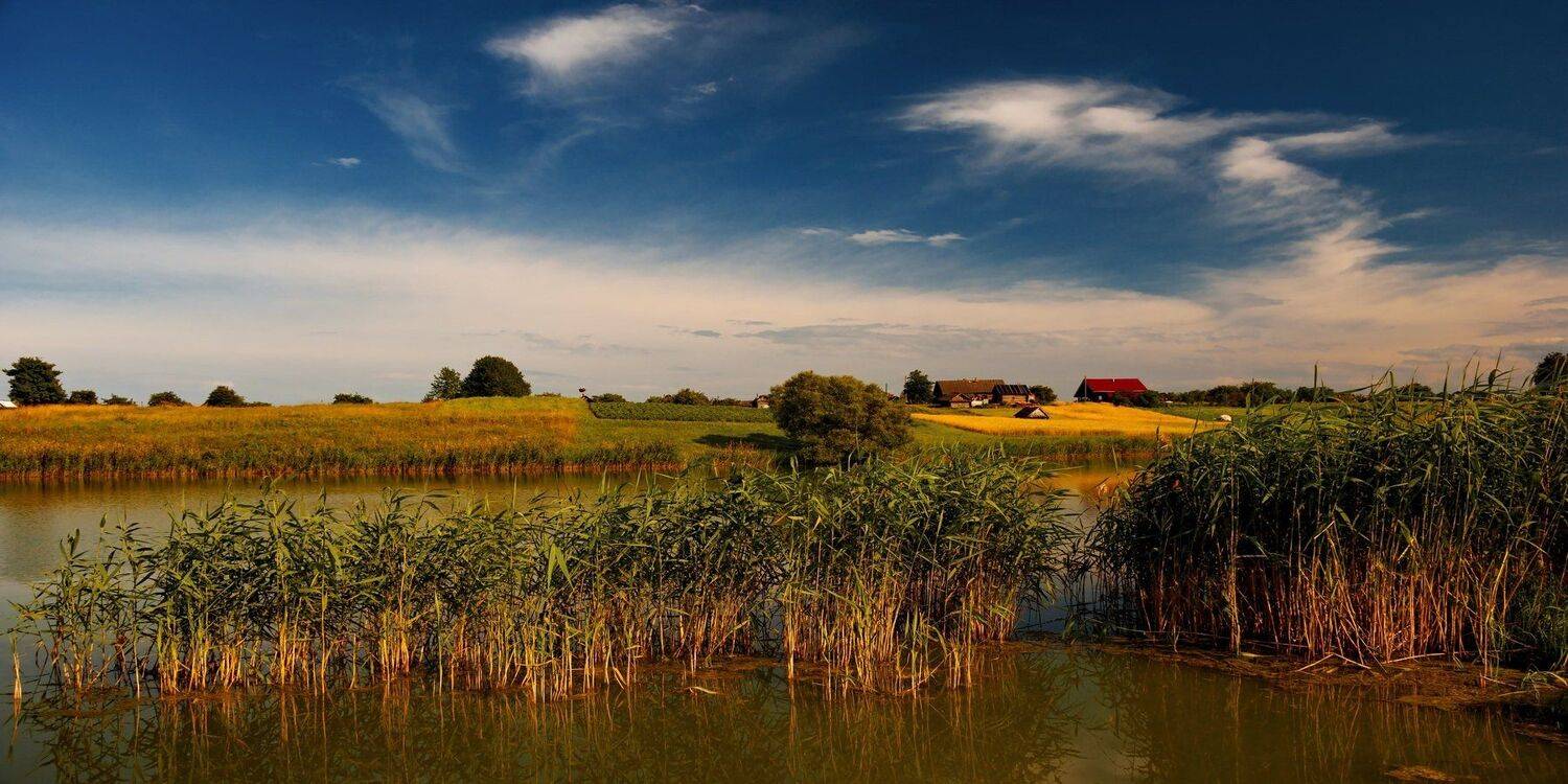 пейзаж, лето, беларусь, природа, Sixten ( Сергей )