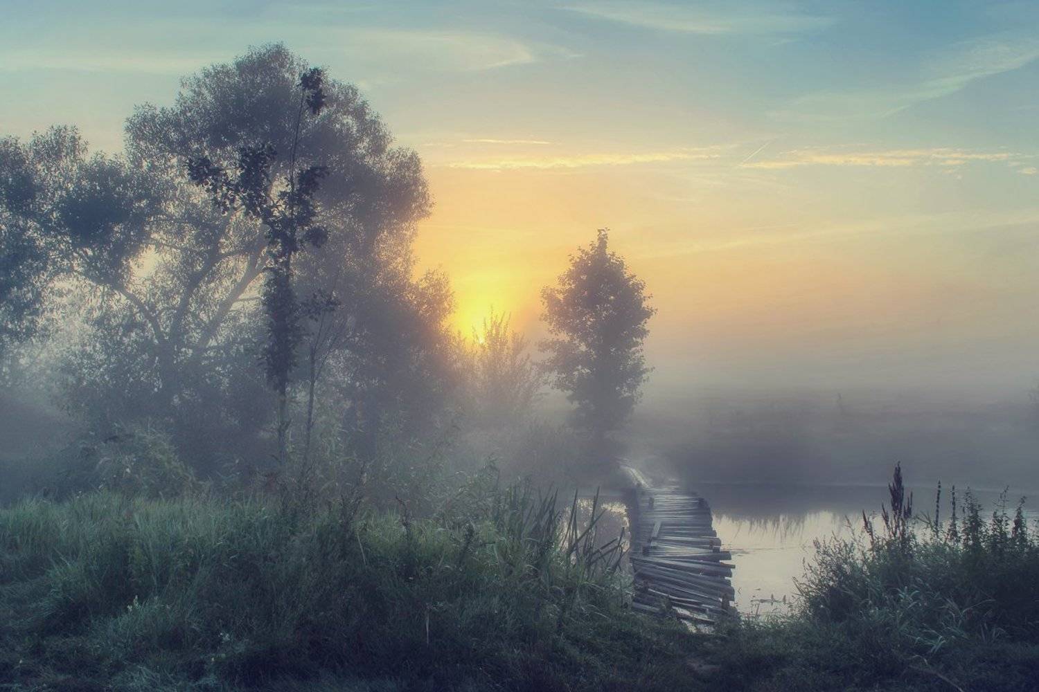 , Игорь Денисов