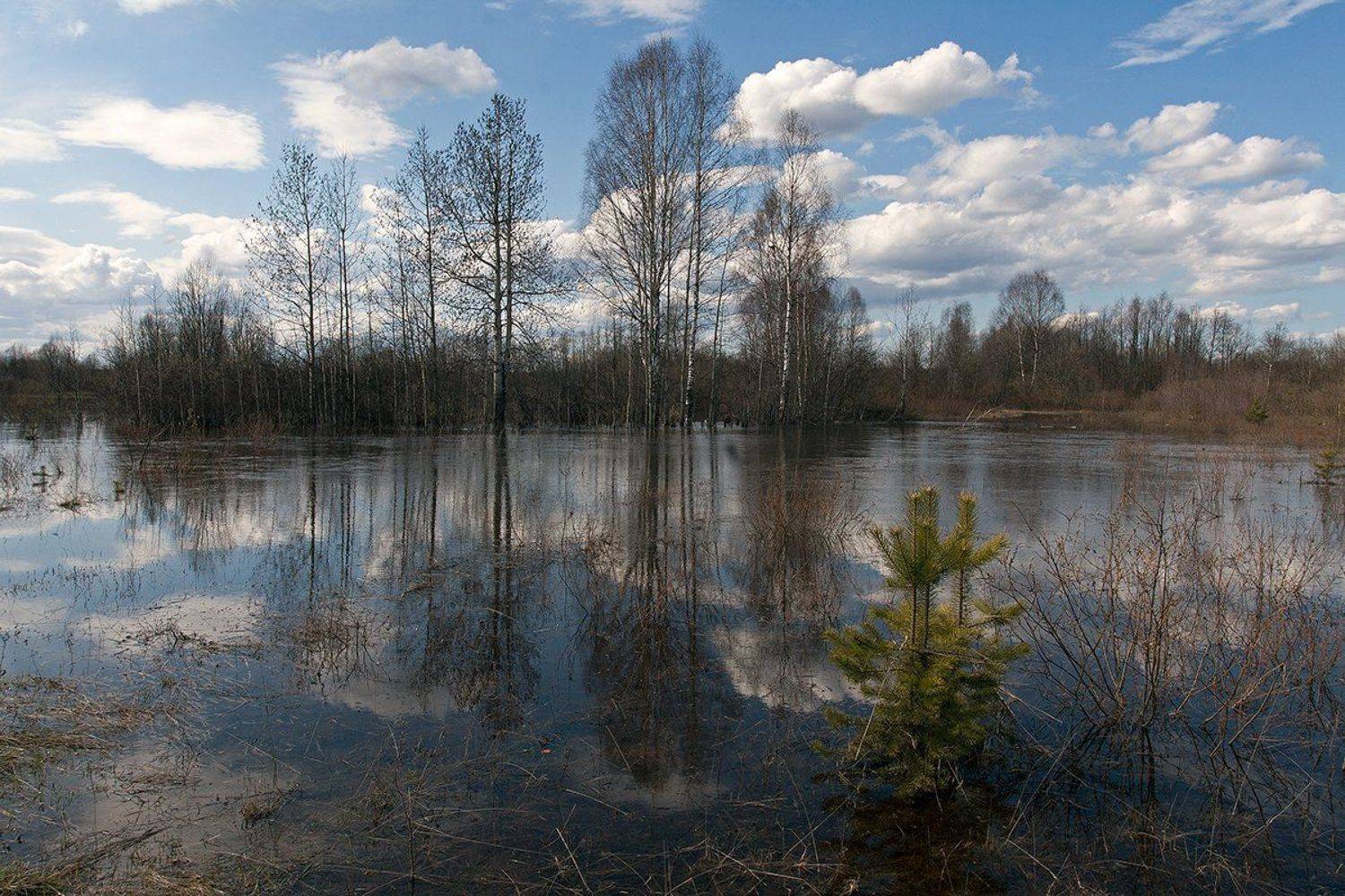, Поташев Александр