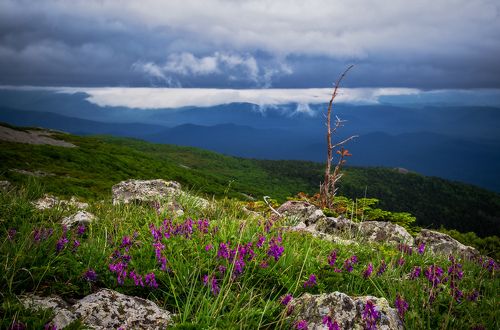 Границы миров