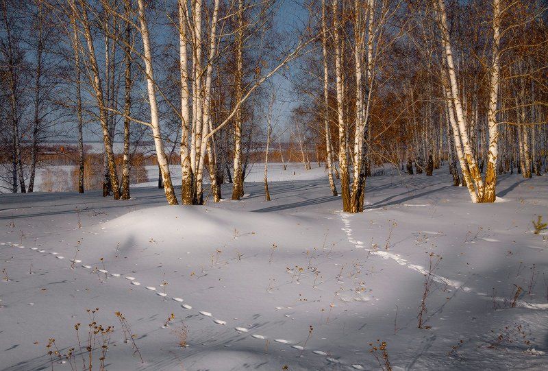 Вечереет. Домой. фото превью