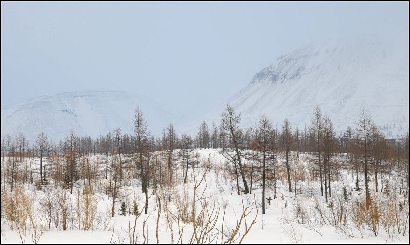 Таймыр.Апрель.Зима. t-10C Суботний день фото превью