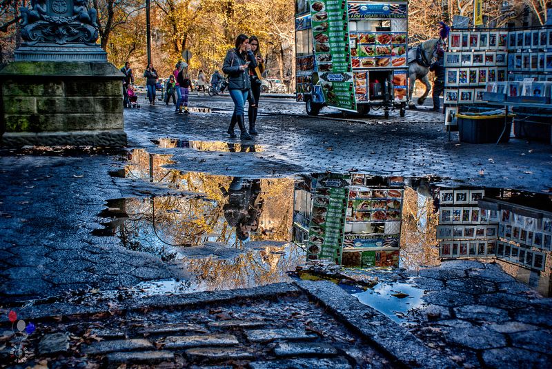 new york, После дождя, осень фото превью