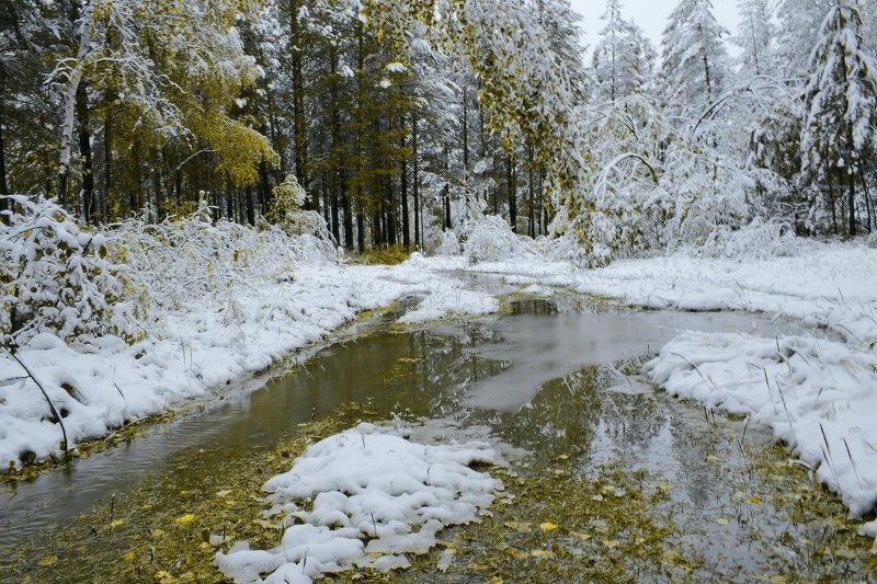 В сентябре (3) фото превью