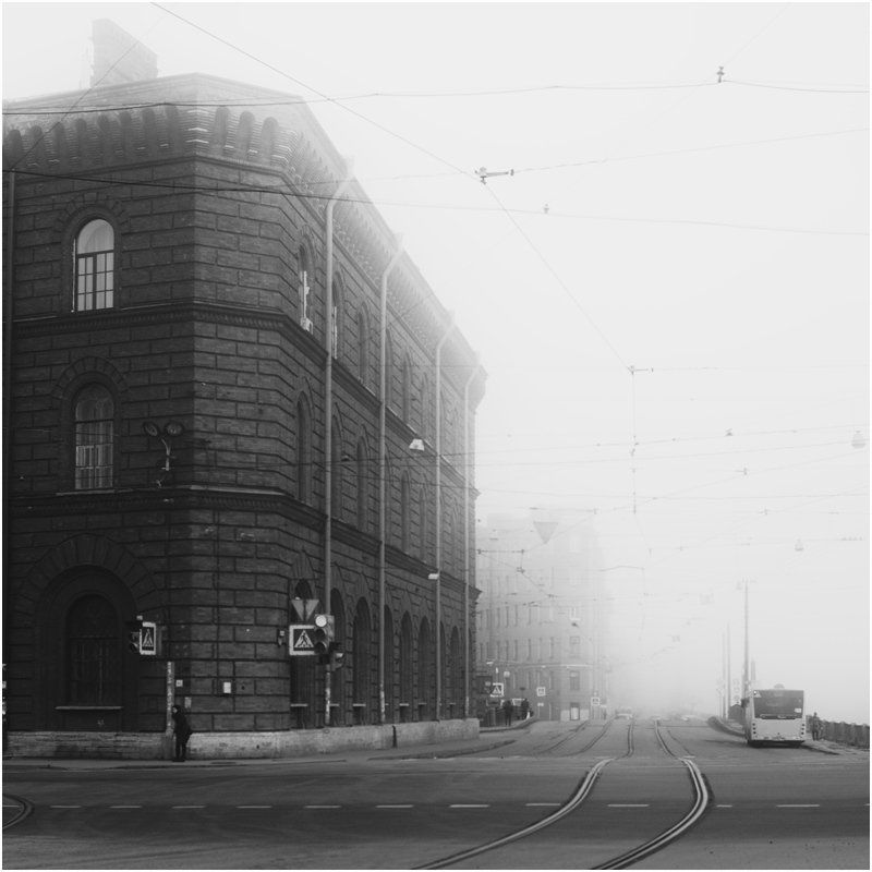 228 фото превью