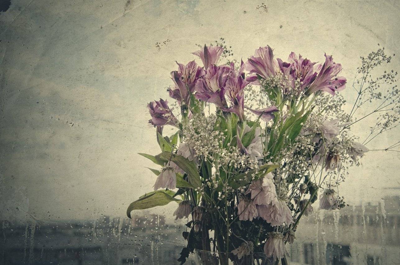 цветы, букет, дождь, окно, лето, небо, капли, дома, Игорь Токарев