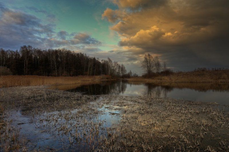 весна,небо Весенняя акварель фото превью