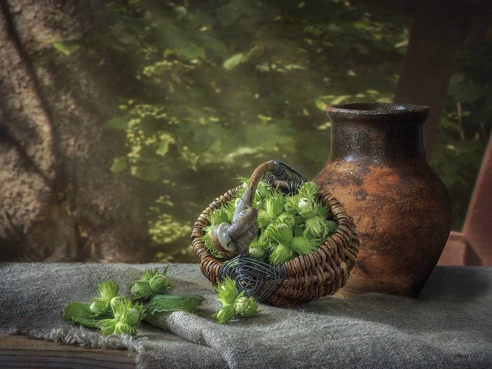 натюрморт, орехи, улитка, кувшин, корзинка, Ирина Приходько