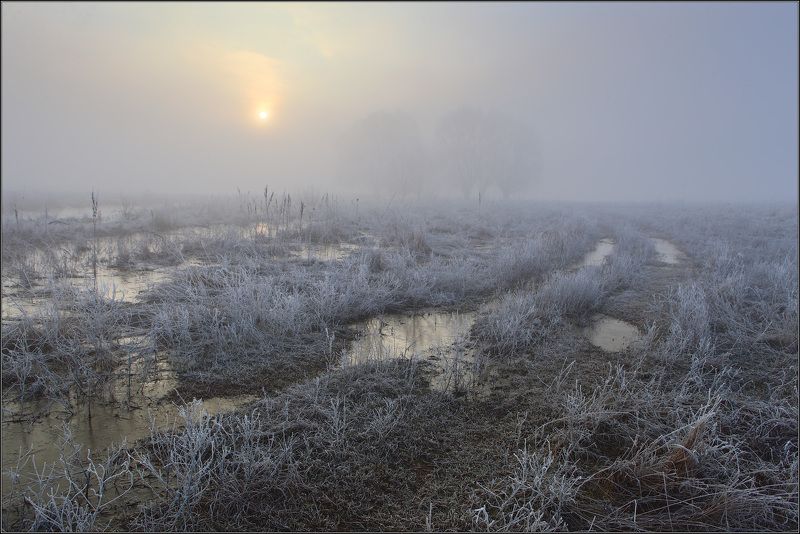 туман, солнце, дорога, вода Половодье на р.Уды фото превью