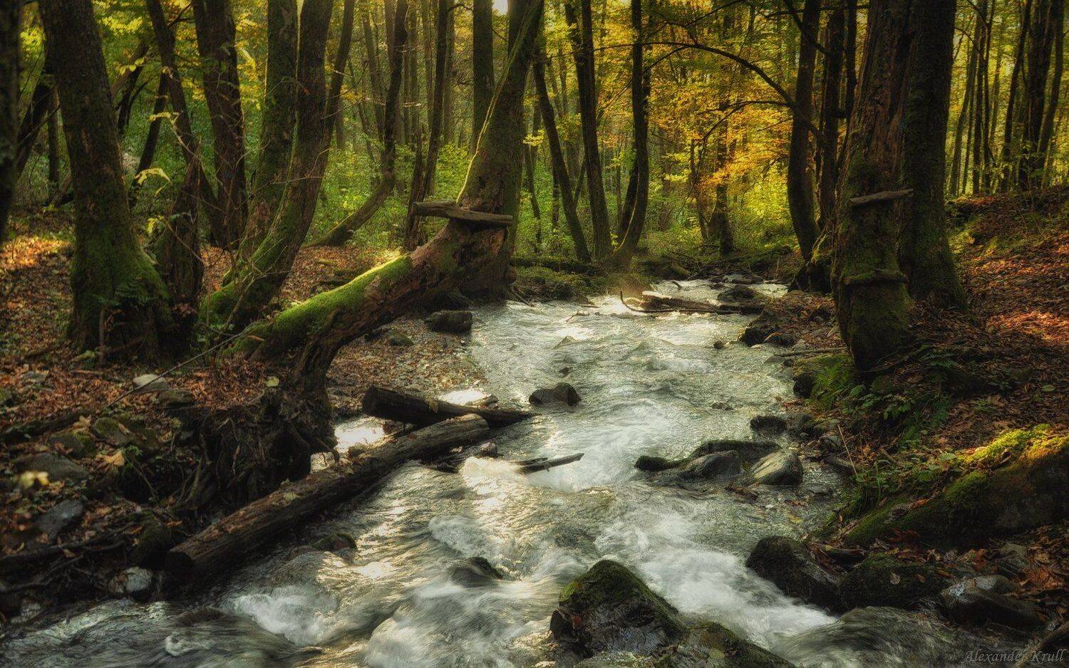 , Александр Круль