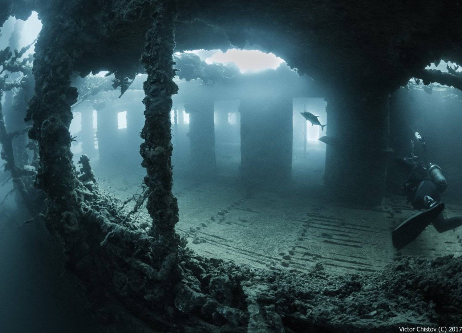 underwater, Виктор Чистов