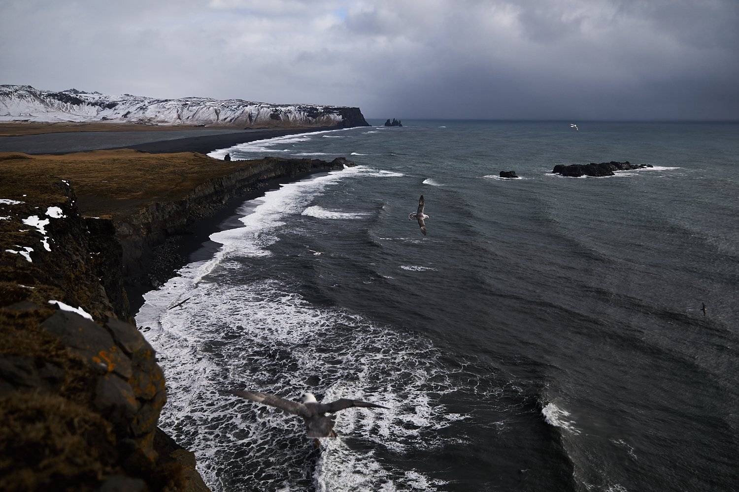 , Олег Багмуцкий