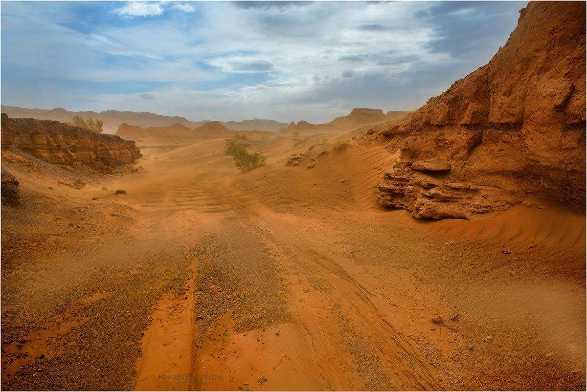 Кутыгин, Монголия, Херменцав, Харманцав, харман, Хермен, буря, песок, песчаная, песочная., Кутыгин Эдуард