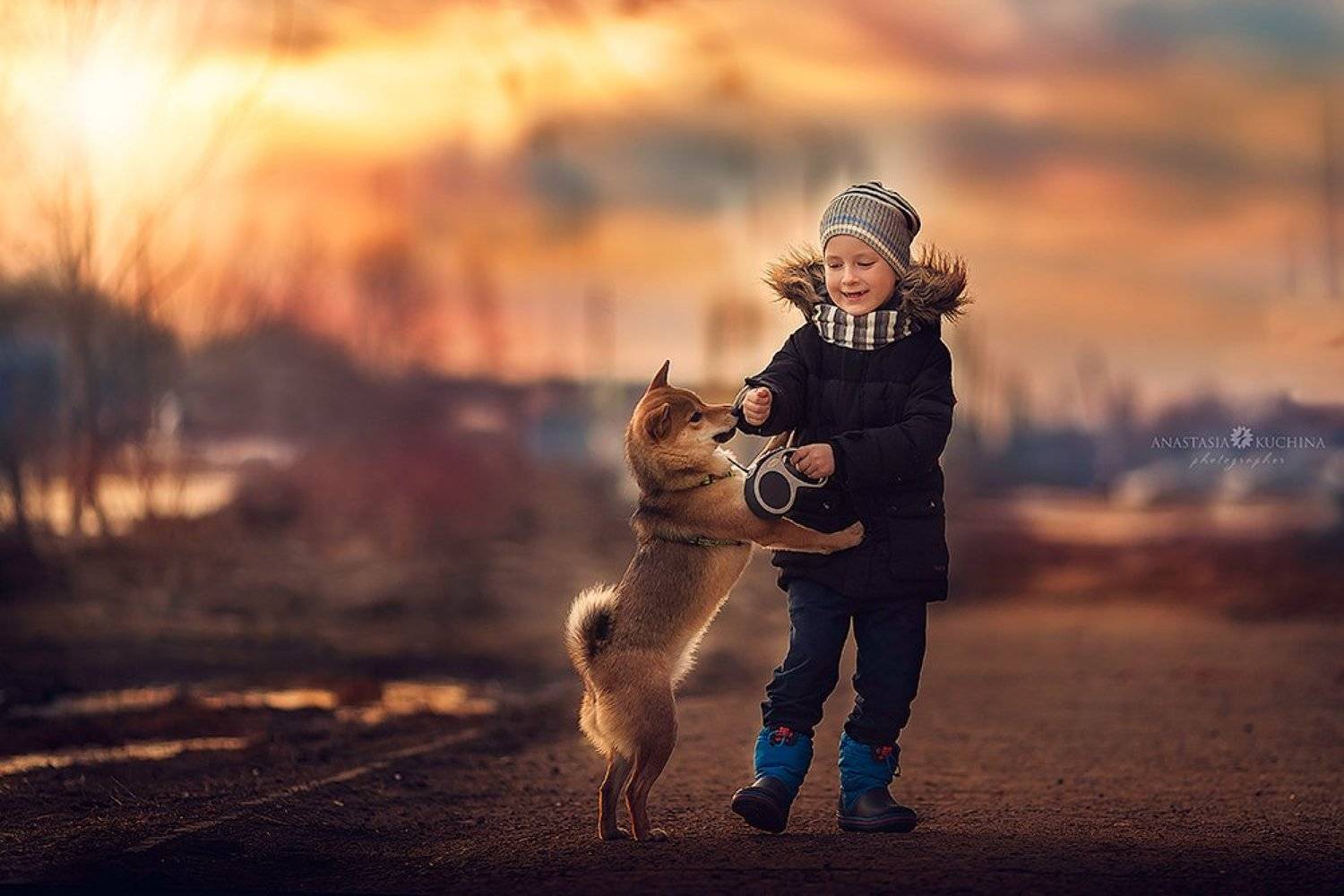 мальчик, собака, весна, шиба, Анастасия Кучина
