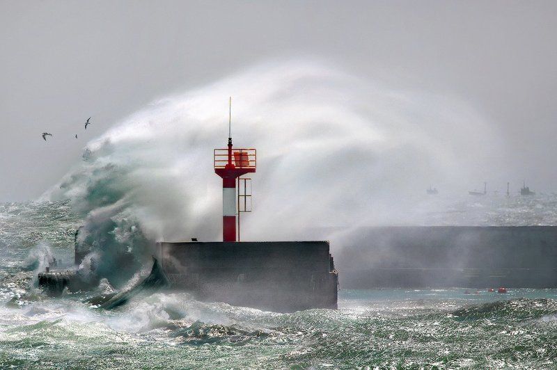 норд, -, ост, , новороссийск, черное, море Норд - Ост фото превью