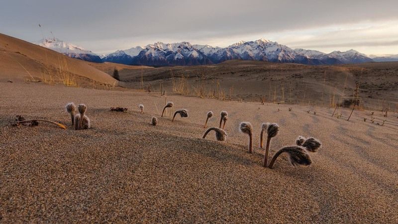в ожидании тепла  фото превью