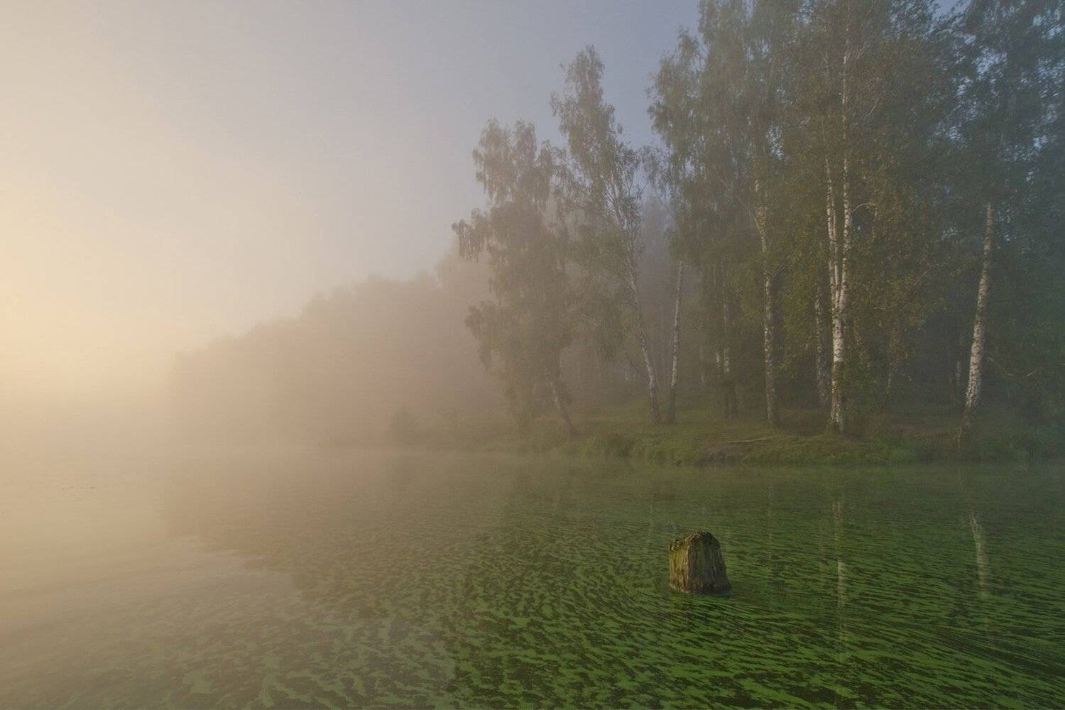 лето август озеро новое природа пейзаж, Михаил Агеев