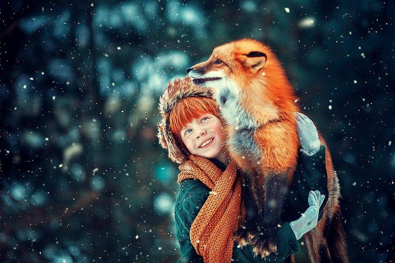 Рыжий, лиса, мальчик, зима Лисята фото превью