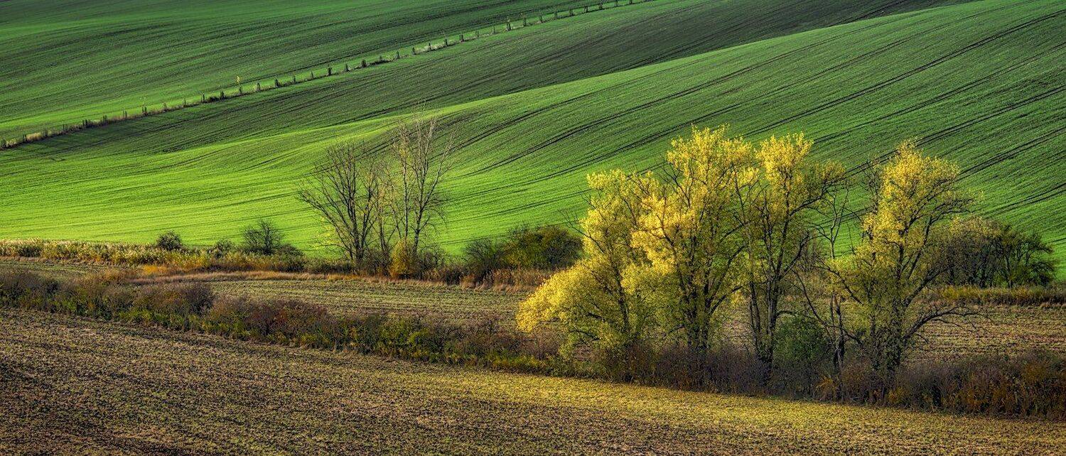 , Эдуард Горобец