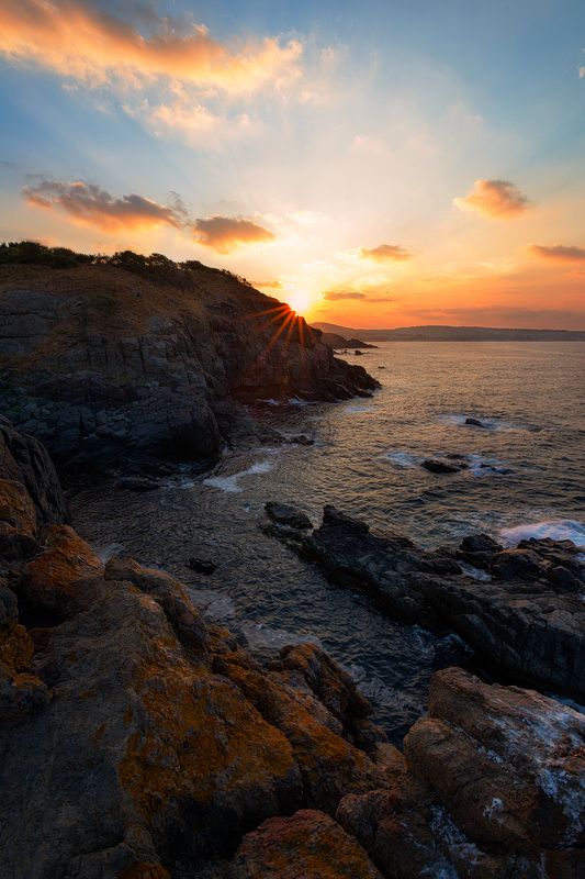 Scent of summer фото превью