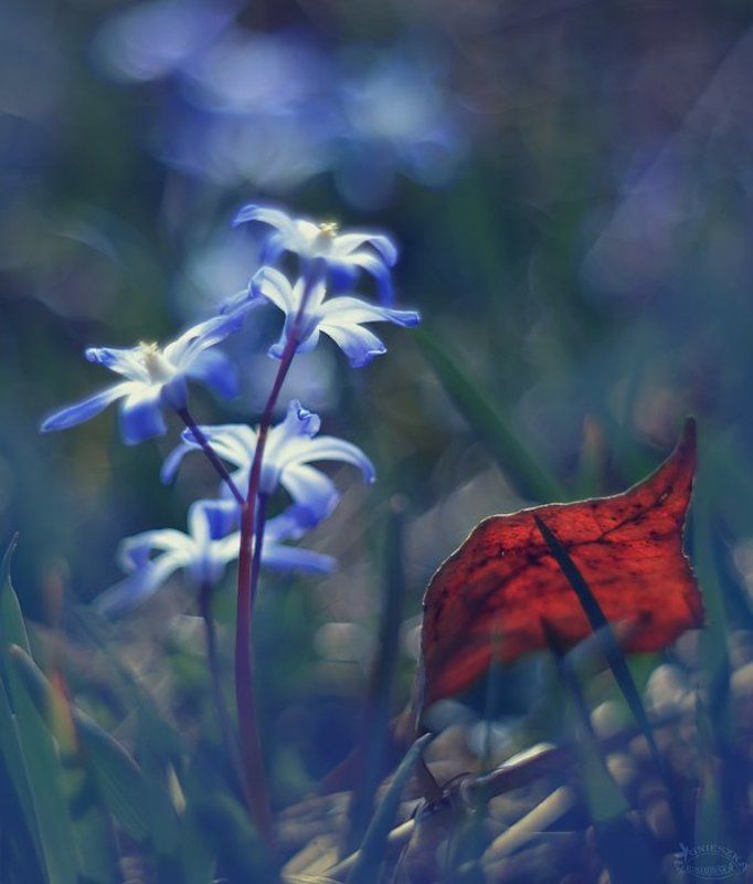 Przebudzenie фото превью