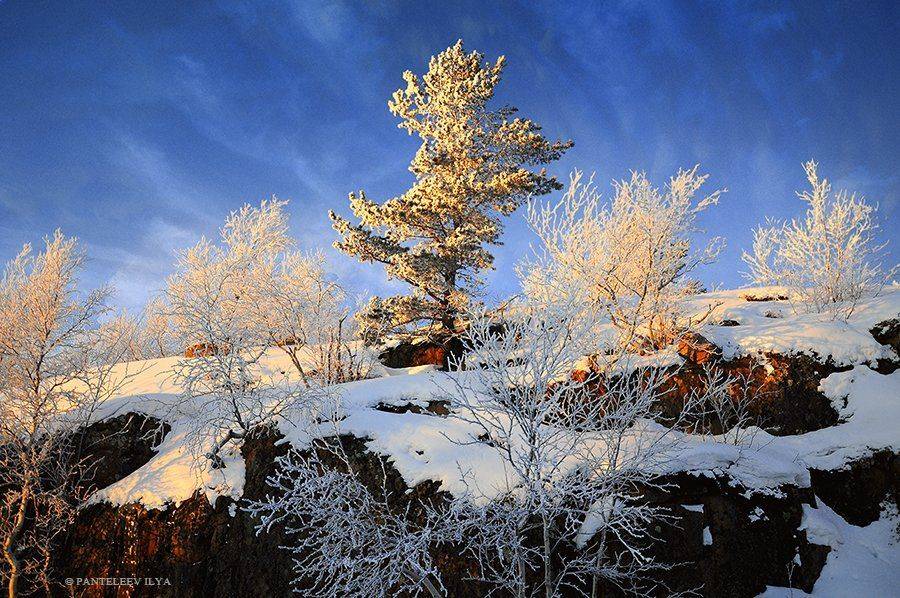 , Пантелеев Илья