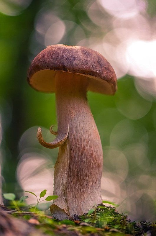 Заходите к нам на огонек... фото превью