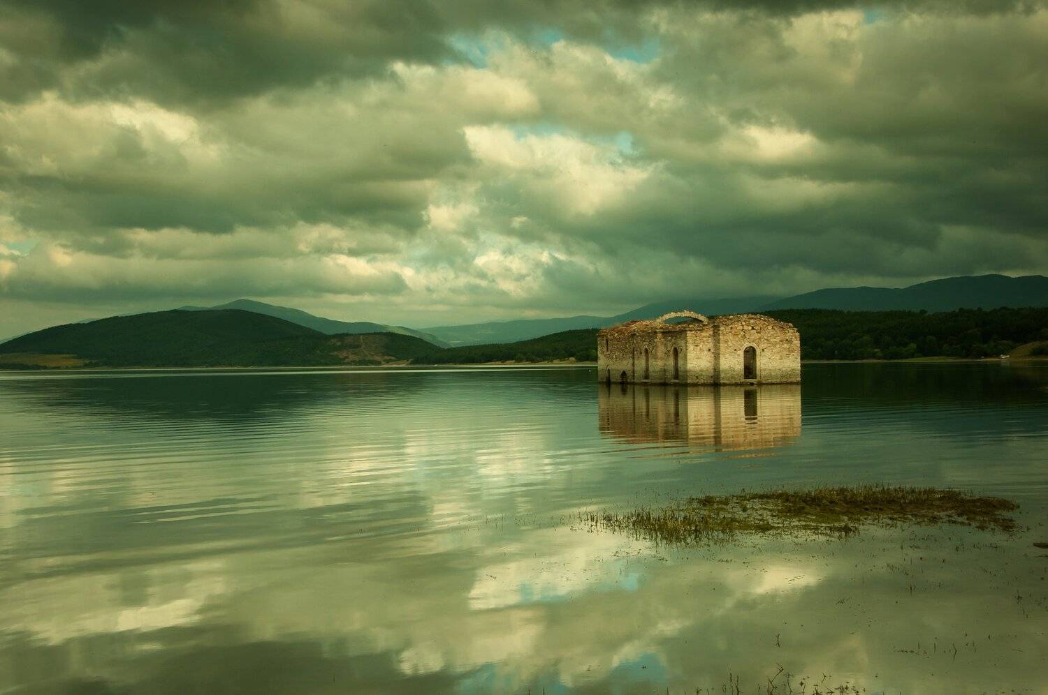 nikon d90, Tihomir Petkov