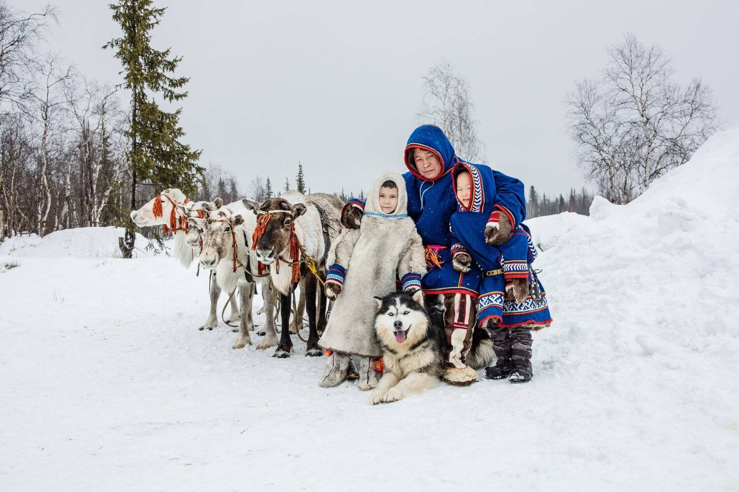 Ямал. Дети. Оленевод, Алексей Сулоев