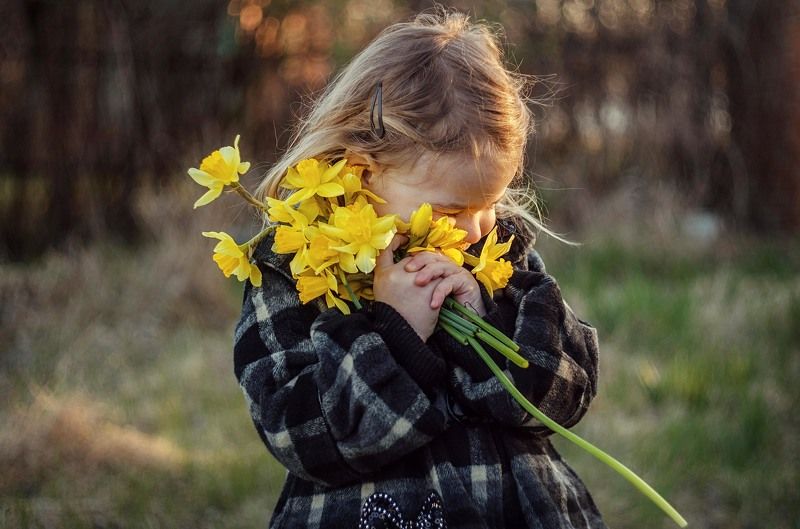 В озябший мир идёт весна. фото превью