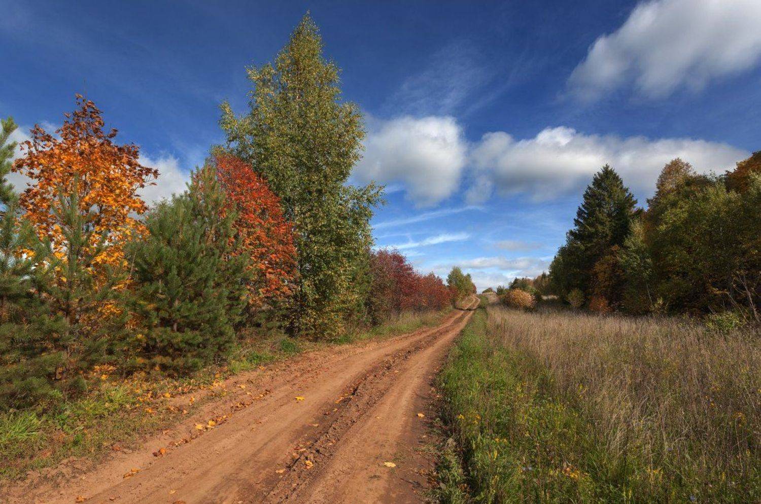 дорога трава лес осень краски облака небо, Георгий Машковцев