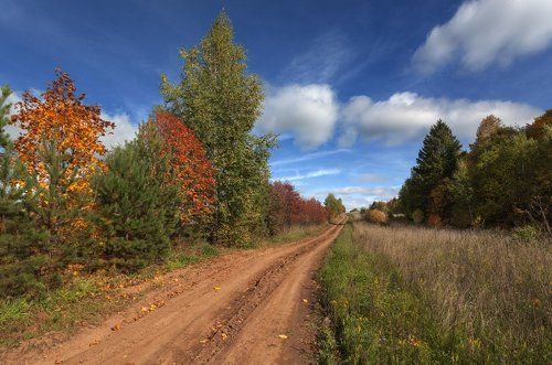 Краски осенней дороги.