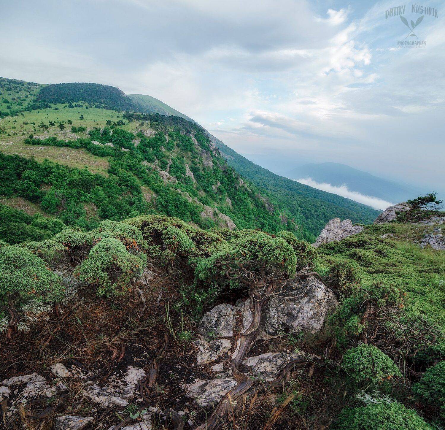 горы облака лес природа крым путешествие приключения небо закат, Кушнир Дмитрий