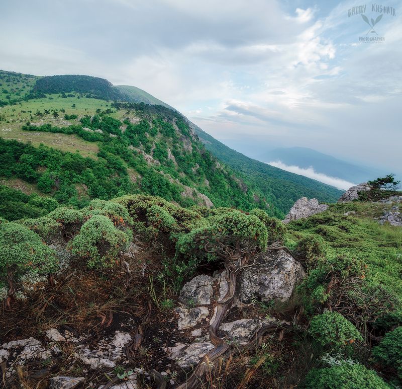 горы облака лес природа крым путешествие приключения небо закат Весенний Чатыр-Даг. фото превью