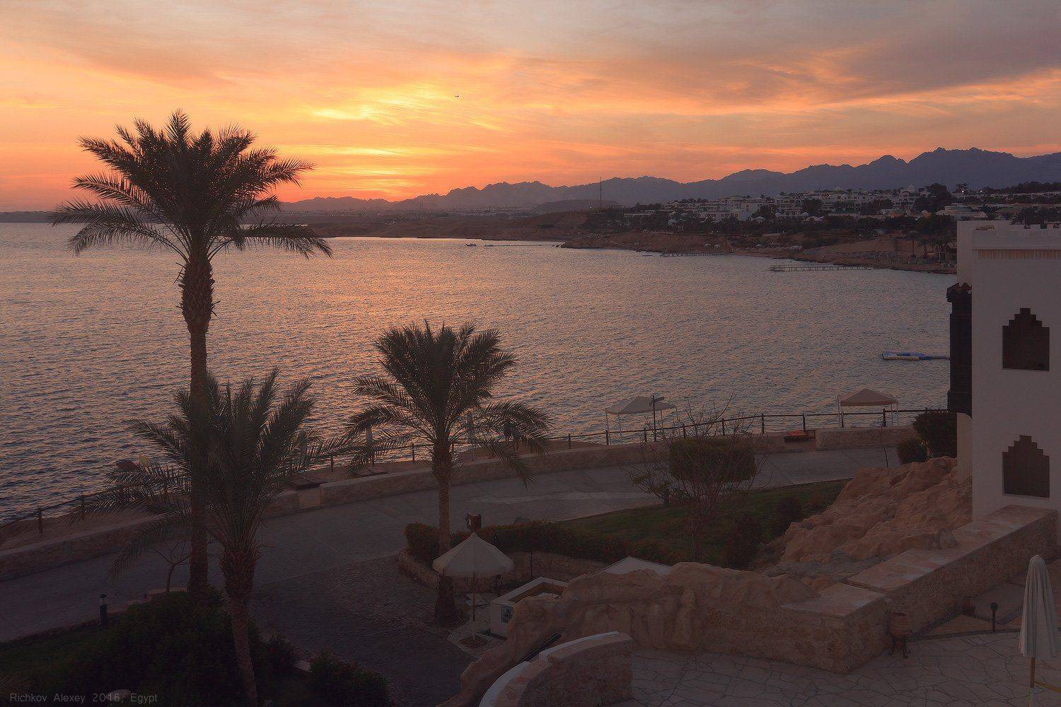 египет, Шармальшейх, пальмы, море, вечер, закат, берег, отель, Рычков Алексей