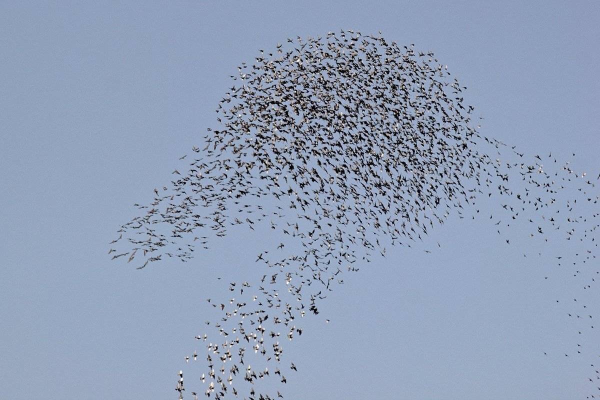 , Георги Славов