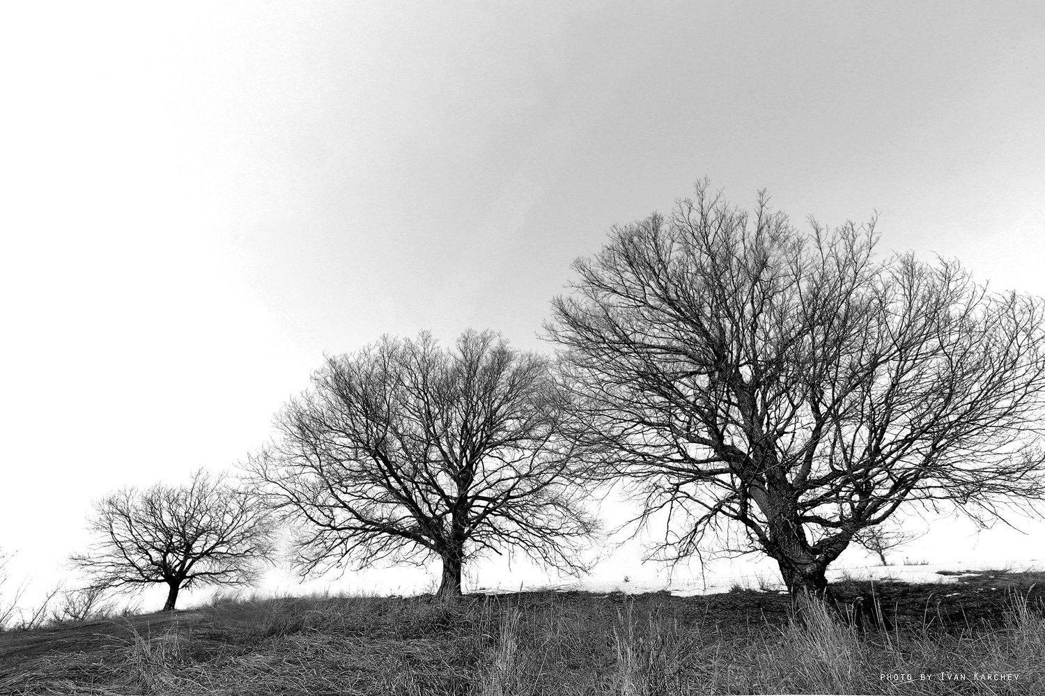 , Иван Карчев