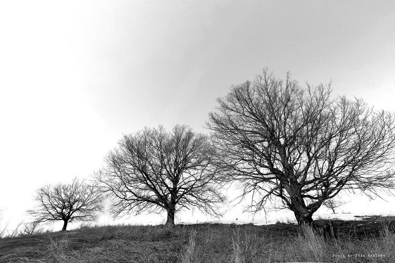 Generations фото превью