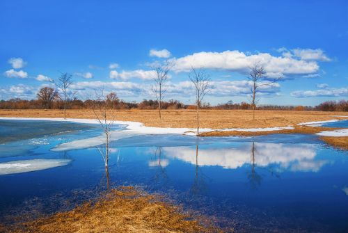 Весенняя нежность